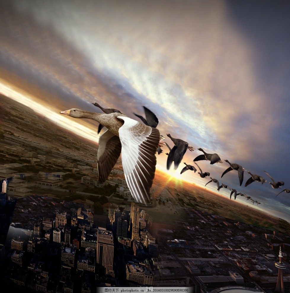 領航未來，共創輝煌